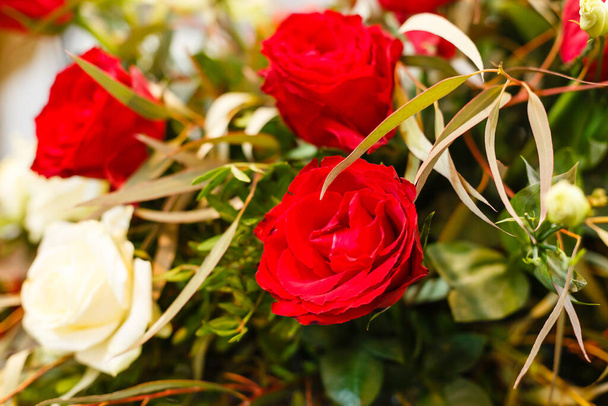 Kırmızı ve beyaz güller, beyaz arkaplanda bir buket ve metin için boşluk - Fotoğraf, Görsel