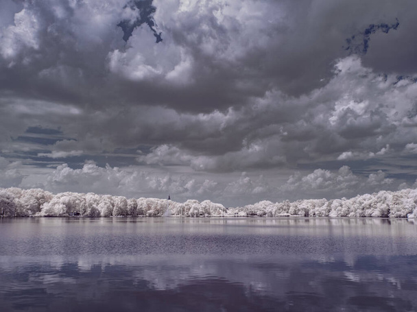 монохромний тонований знімок озера з деревами і хмарним небом
  - Фото, зображення