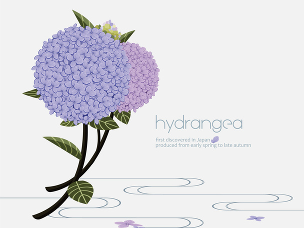 Dusty Pink, Pastel, Black Flowers Big Vector Design Set. Hydrangea
