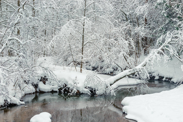 雪の冬の森と流れる川。森の中の冬の日の風景 - 写真・画像