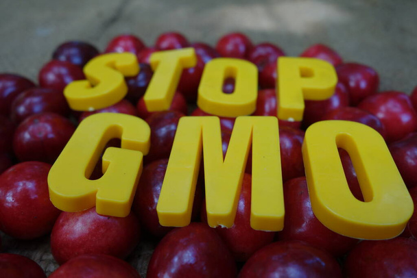 Állítsa meg a GMO terjedését - Fotó, kép