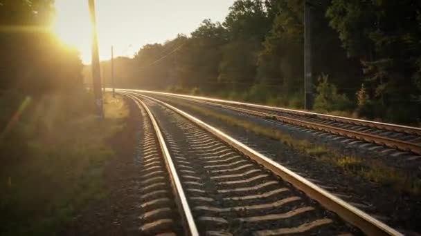 秋の森の中の鉄道、霧の晴れた夜明け. - 映像、動画