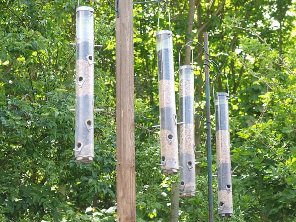 Четыре подвешенных кормушки для птиц в британском саду. - Фото, изображение