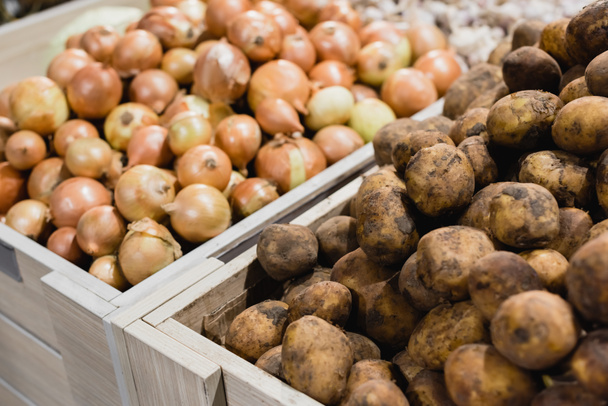 Картофель и лук на размытом фоне в супермаркете  - Фото, изображение