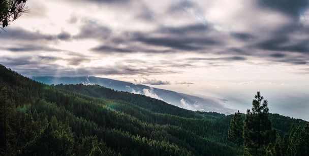 Waldlandschaft in den Bergen bei bewölktem Tag - Foto, Bild