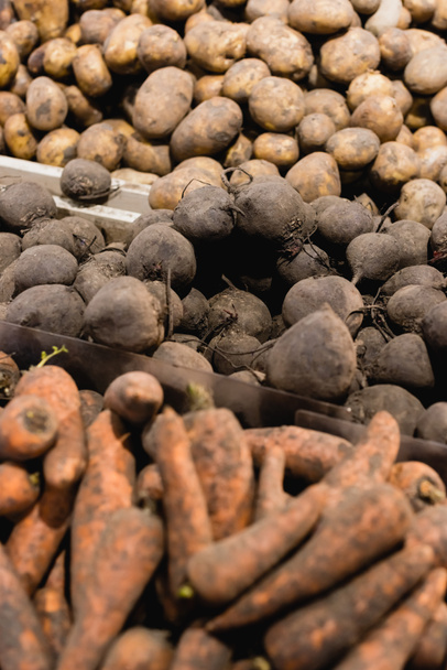 Radici di barbabietola vicino carote e patate su sfondo sfocato nel supermercato  - Foto, immagini