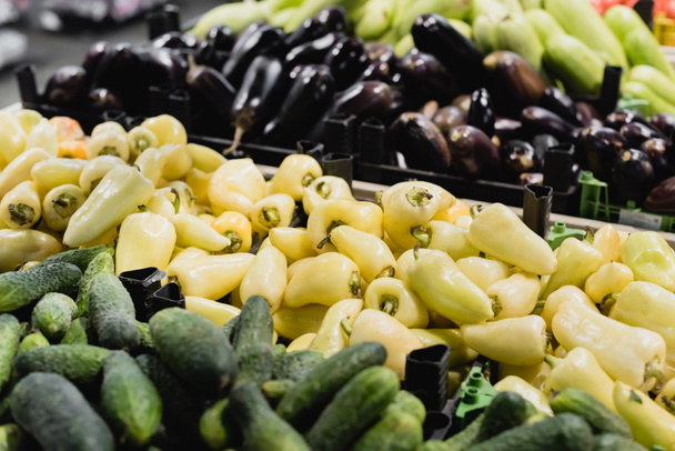 Органический перец рядом с огурцами и баклажанами на размытом фоне в супермаркете  - Фото, изображение