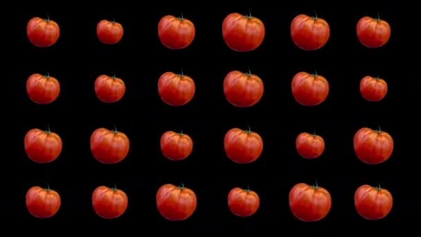 Rode tomaten op een rij draaiend tegen een zwarte achtergrond - Video