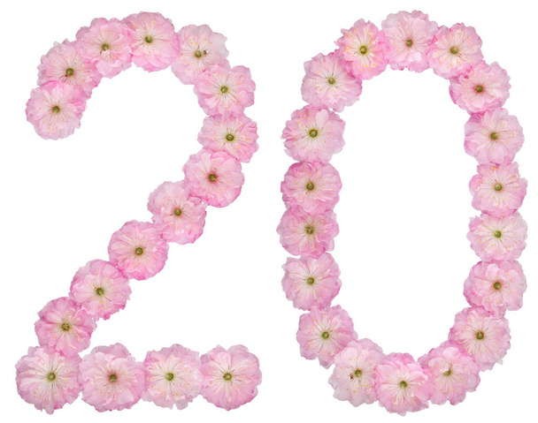Число 20, двадцять, з натуральних рожевих квітів мигдалевого дерева, ізольовані на білому тлі
 - Фото, зображення