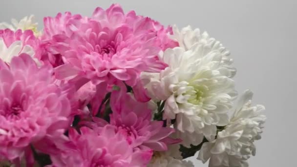 bouquet of beautiful flowers. Delicate chrysanthemums for March 8 International Women's Day. valentine's day February 14 gift. - Footage, Video
