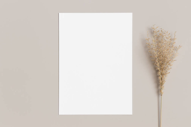 Biała makieta na wizytówkę z suszoną dekoracją trawy na beżowym stole. Stosunek 5x7, podobny do A6, A5. - Zdjęcie, obraz