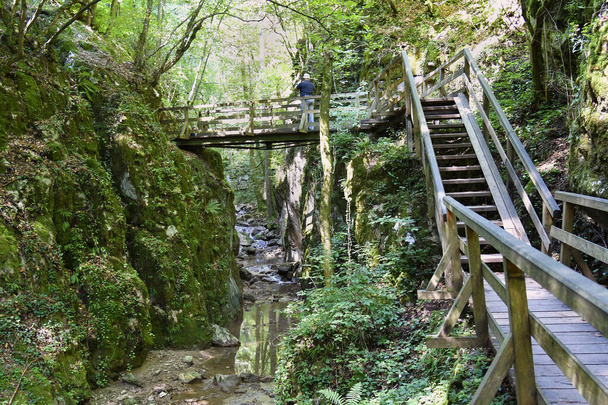 Autriche, la gorge de Johannesbach à Wuerflach est un petit paradis naturel dans le sud de la Basse-Autriche sur le bord des Alpes orientales, avec un sentier pédestre et des ponts en bois le long du ruisseau nommé Johannesbach - Photo, image