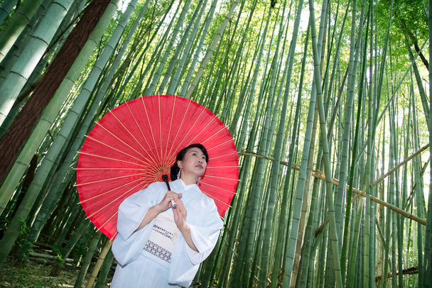 Femme asiatique portant kimono japonais traditionnel à la forêt de bambous. - Photo, image