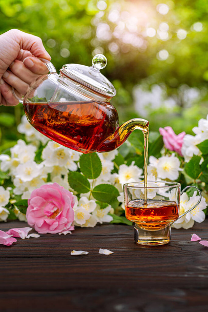 Vista recortada de la mano verter el té en la taza elegante entre los arbustos de jazmín y rosa floreciente. Al aire libre, picnic, almuerzo. Hojas verdes fondo en desenfoque. - Foto, Imagen