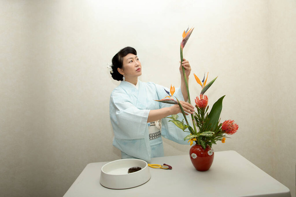 Japońska kobieta, która zajmuje się układaniem kwiatów (Ikebana) w swoim studio. - Zdjęcie, obraz