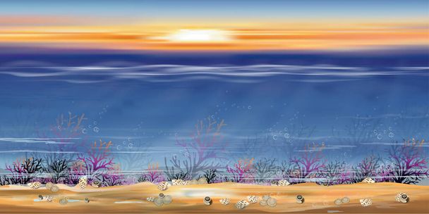 Veden alla syvänmeren sininen saarella, Panorama meren pohjassa auringon säde paistaa vedenalainen olentoja, koralliriuttoja, merilevää ja kuori luonnollisessa elinympäristössä, vektori horisontti meren elämää tausta - Vektori, kuva