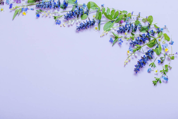 beautiful summer flowers on blue background - Fotó, kép