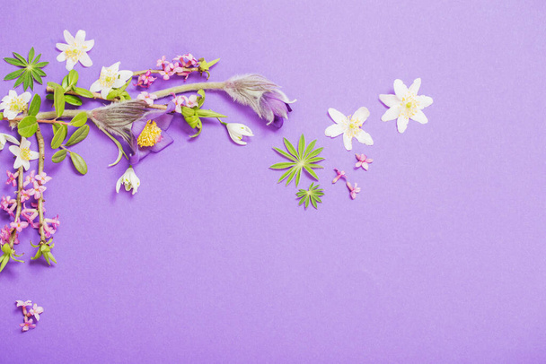 spring flowers on violet background - Photo, Image