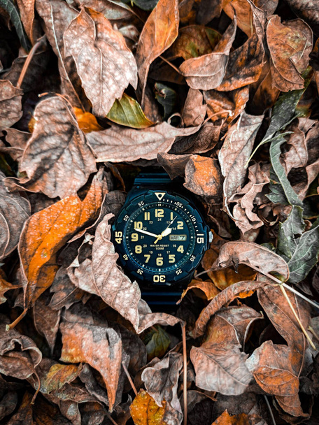 reloj de pulsera amarillo y negro que descansa sobre hojas secas de otoño - Foto, imagen