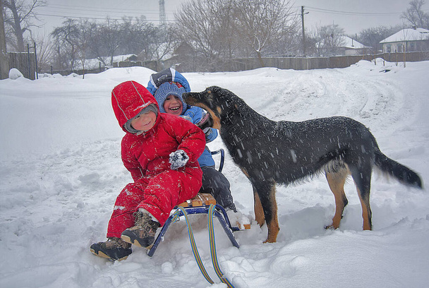 dos niños pequeños se sientan en un trineo junto a un perro durante una nevada - Foto, Imagen