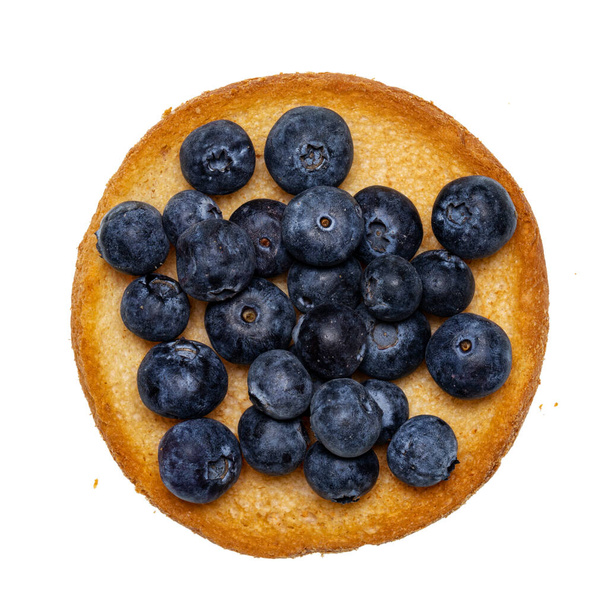 Top view of golden toasted round rusk toast aka beschuit with blueberries on top. Isolated on white background. - Photo, Image