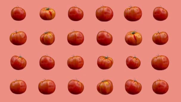 Rode tomaten op een rij bewegend op een roze achtergrond - Video