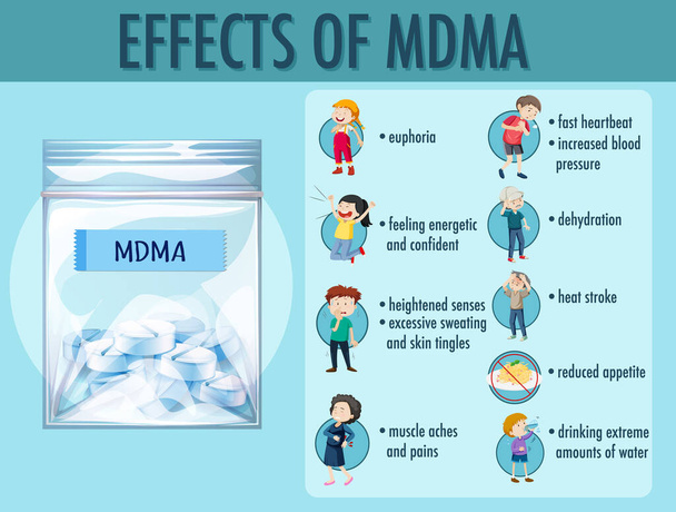 MDMA(エクスタシー)インフォグラフィックイラストの効果 - ベクター画像