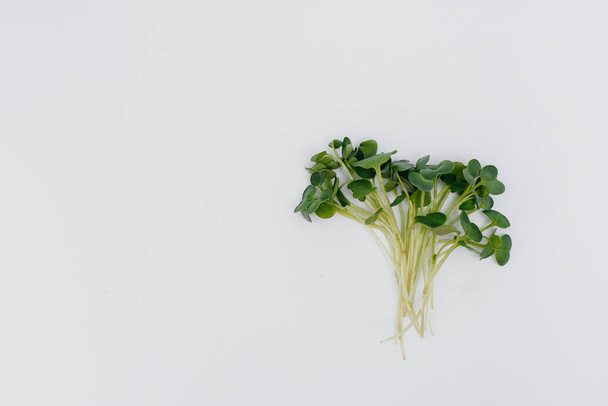 Micro-green sprouts close-up on a white background with free space. Healthy food and lifestyle - Photo, Image