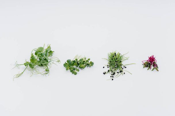 Micro-green sprouts close-up on a white background with free space. Healthy food and lifestyle - Foto, Bild