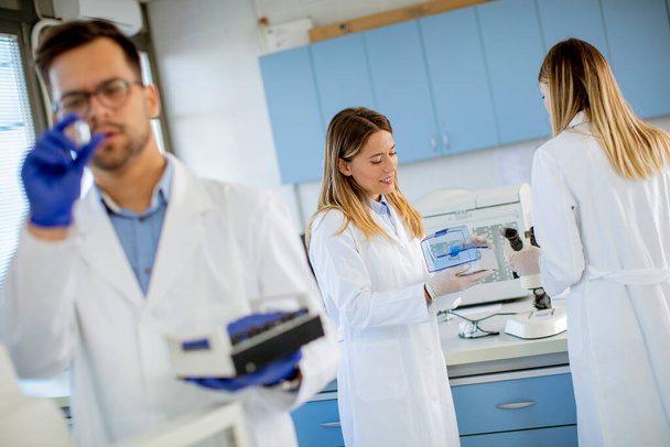 Komea tutkija suojaavissa työvaatteissa seisoo laboratoriossa ja analysoi nestenäytteitä - Valokuva, kuva