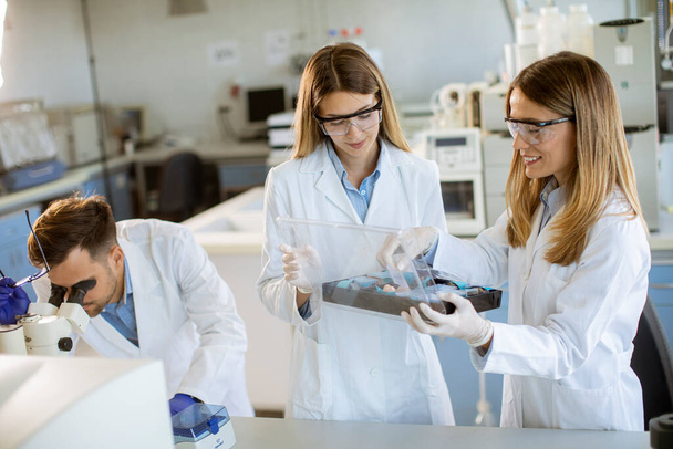 Junge Forscherinnen analysieren mineralchemische Daten im Labor - Foto, Bild
