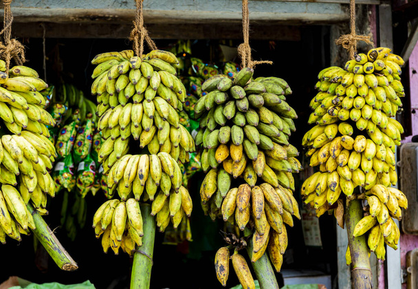 View at bananas on the fruit stand on a market at Sri Lanka - Фото, зображення