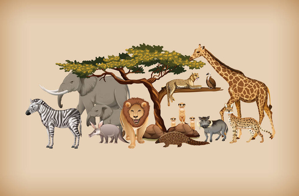 Grupo de animales silvestres sobre ilustración de fondo - Vector, Imagen