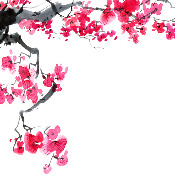 Vesiväri ja muste kuvitus kukka sakura puu vaaleanpunaisia kukkia ja silmut. Itämainen perinteinen maalaus tyylillä sumi-e, u-sin ja gohua. - Valokuva, kuva