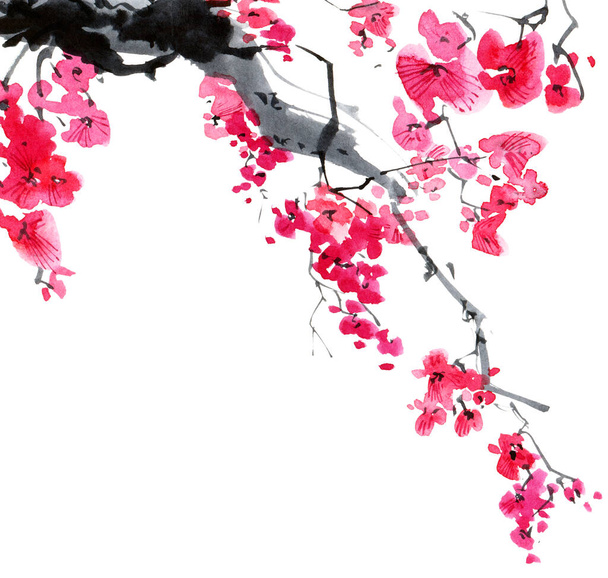 Watercolor and ink illustration of blossom sakura tree with pink flowers and buds. Oriental traditional painting in style sumi-e, u-sin and gohua. - Photo, Image