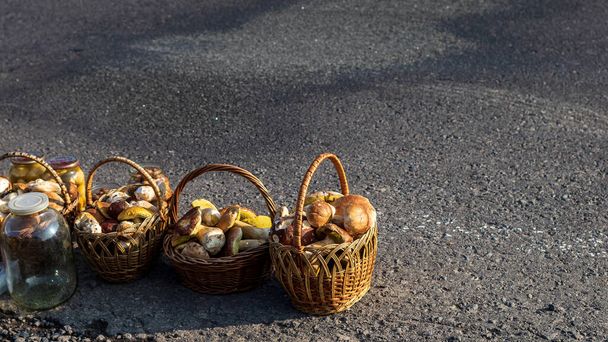Dlážděná venkovská cesta v horách a tři koše velkých porcini hub na prodej. Nádherné velké lesní houby na kraji silnice. - Fotografie, Obrázek