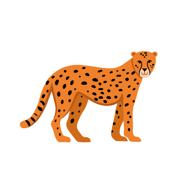 Cartoon cheetah op een witte achtergrond.Flat cartoon illustratie voor kinderen. - Vector, afbeelding