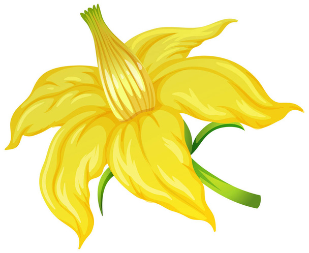 Pomodoro fiore su sfondo bianco illustrazione - Vettoriali, immagini