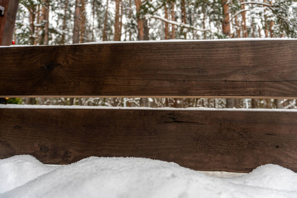 Penkki lähellä lumen peittämää kahvilaa metsän lähellä - Valokuva, kuva
