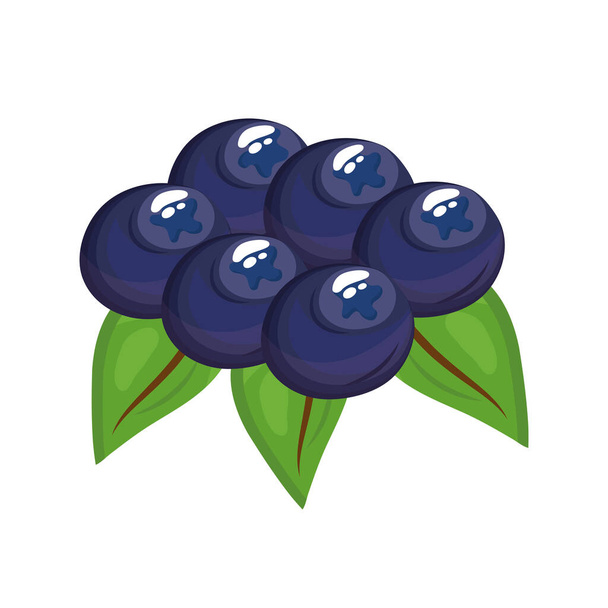ブルーベリーおいしい新鮮なフルーツの自然アイコン - ベクター画像