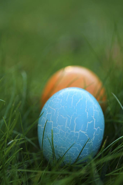 Полювання на великодні яйця. У пошуках великодніх яєць у траві. Синьо-оранжеве Великоднє яйце в зеленій весняній траві. Весняний святковий Великодній фон. Пасхальний символ
.  - Фото, зображення