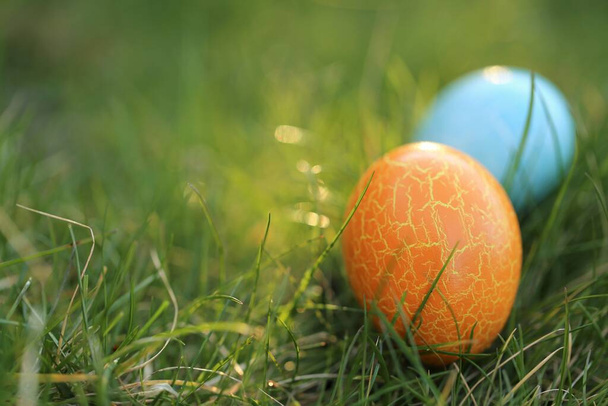 Охота за пасхальными яйцами. В поисках пасхальных яиц в траве. Сине-оранжевое пасхальное яйцо, окрашенное в зеленый цвет. копировальное пространство.  - Фото, изображение