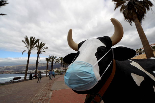Στενή άποψη της αγελάδας-παιχνιδιού με μάσκα στη βάση της - Φωτογραφία, εικόνα
