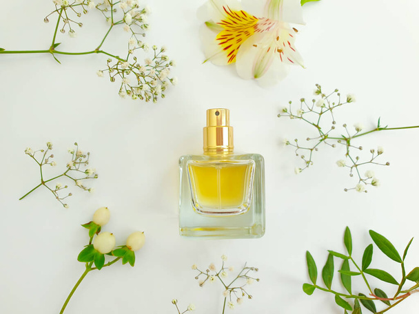 bottle perfume flower on a colored background - Foto, Bild