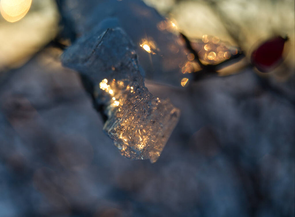 camada de gelo em uma árvore enquanto o sol se reflete nela em thuringia - Foto, Imagem