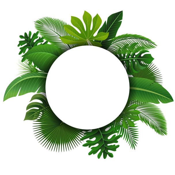 Signo redondo con espacio de texto de hojas tropicales. Adecuado para el concepto de naturaleza, vacaciones y vacaciones de verano. Ilustración vectorial - Vector, Imagen