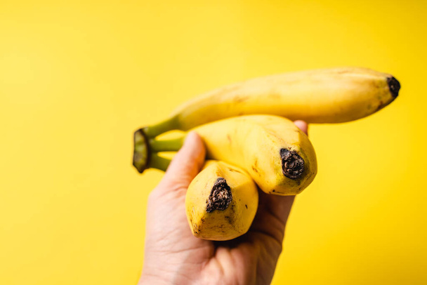 Close up on hand holding fresh ripe organic bananas in front of trendy yellow background - healthy eating fruit vegetarian or vegan concept - copy space - Valokuva, kuva