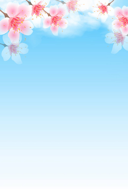 Flores de cerezo flor primavera fondo - Vector, imagen