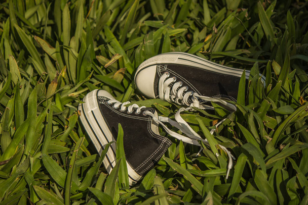 Black sneakers were exposed to the sun in the grass. - Photo, Image