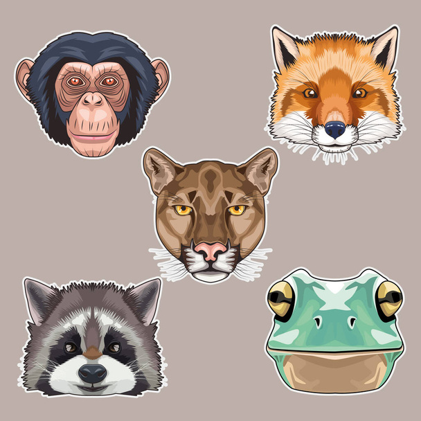 csomag öt állat fej karakter ikonok - Vektor, kép